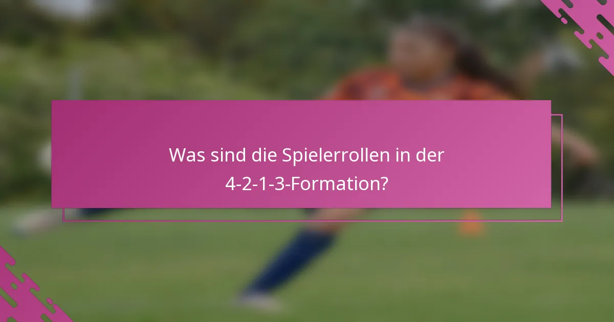 Was sind die Spielerrollen in der 4-2-1-3-Formation?