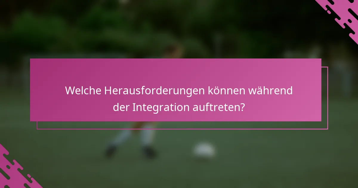 Welche Herausforderungen können während der Integration auftreten?