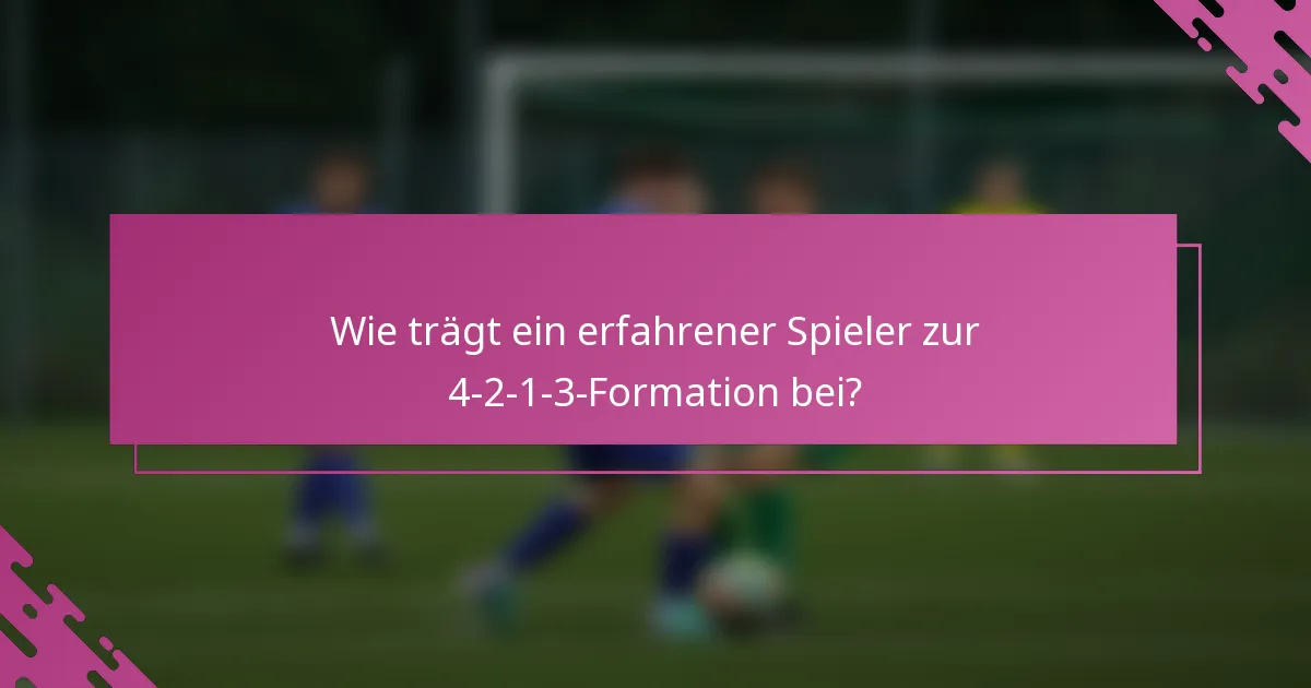 Wie trägt ein erfahrener Spieler zur 4-2-1-3-Formation bei?